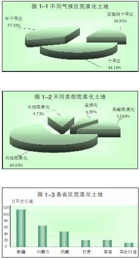 数据缩略图